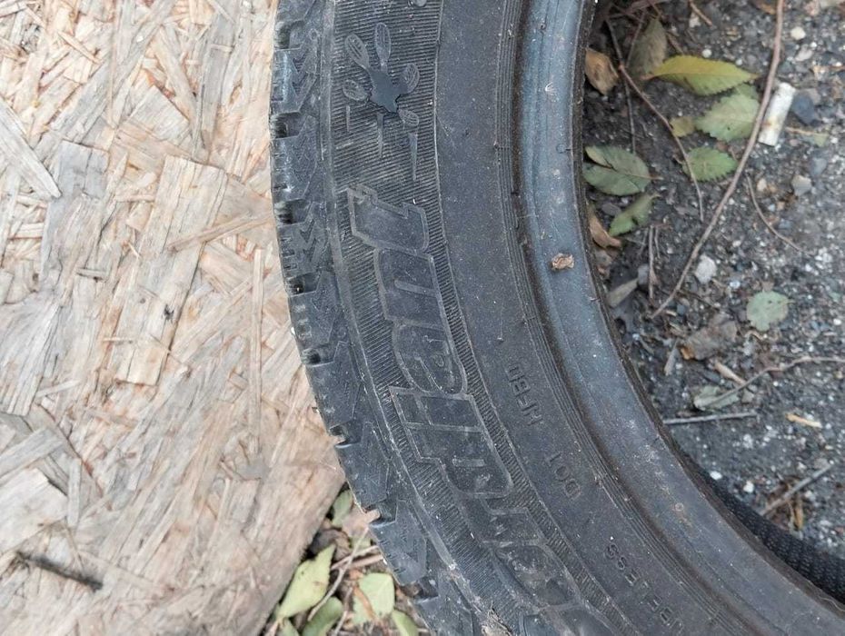 Шина зимняя шипованная