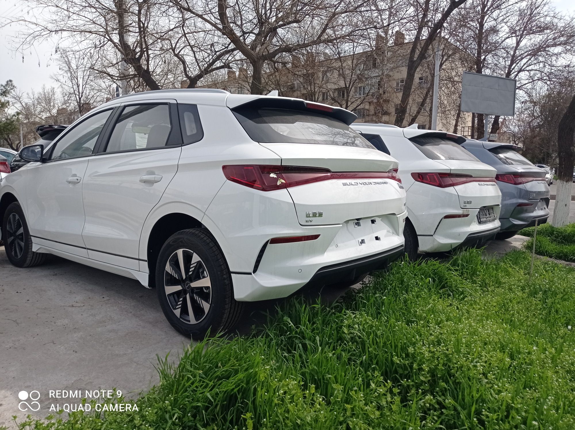 BYD E2 год выпуска 2023+24