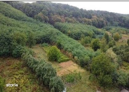 Teren Duta-Epureni, ID: R2757048