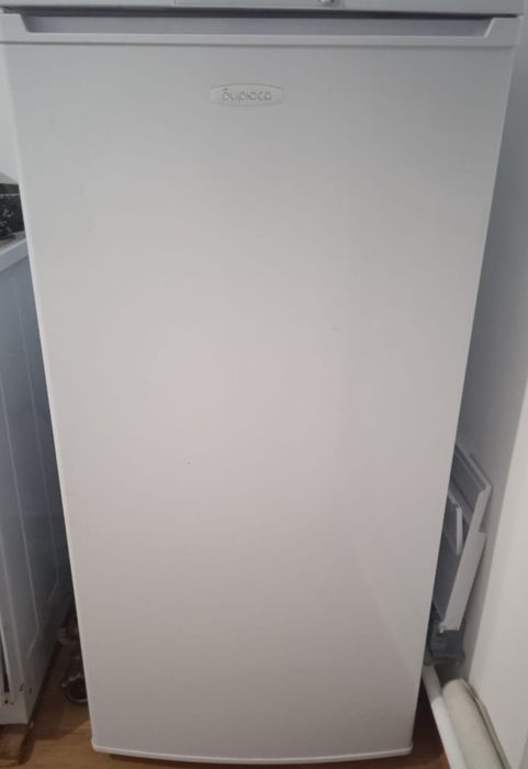 Бирюса однокамерная