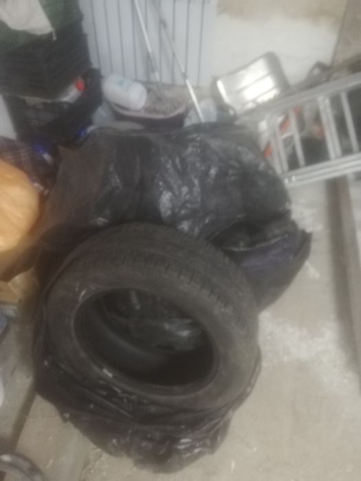 Sava 215,55 R16 покрышка