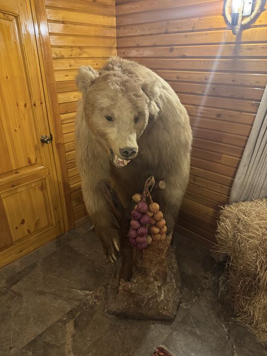 Продается чучело медведя