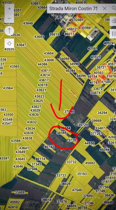 Teren intravilan 2500mp  Miron Costin variante auto/tir