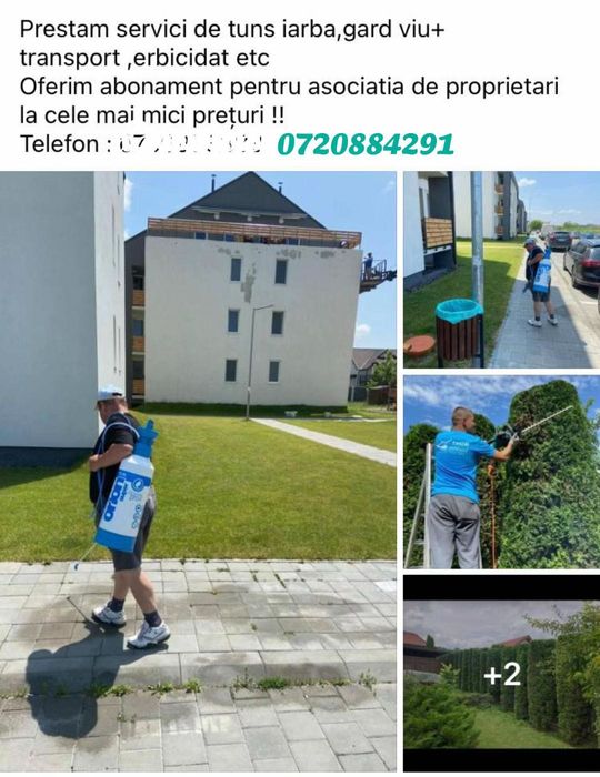 EXP Experienta Profesioanala  , Fara praf si Fara urme