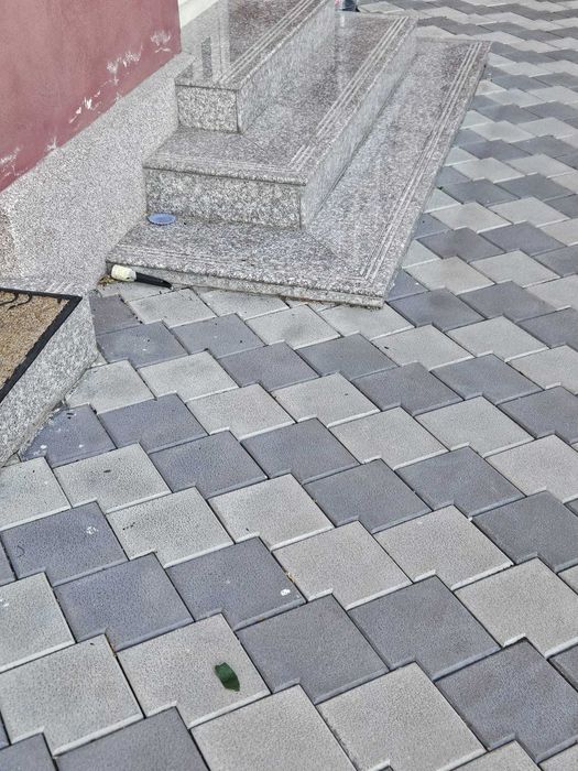 Experienta si profesionalism