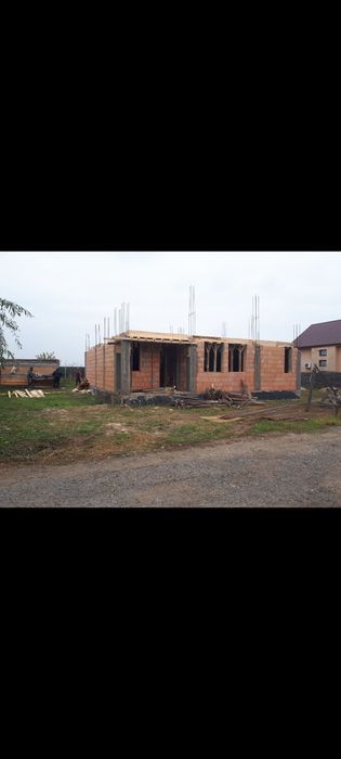 Echipa de meseriasi (Dulgheri, fierari, zidari, zugravi)