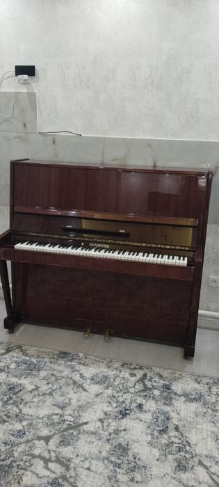 Pionino sotiladi