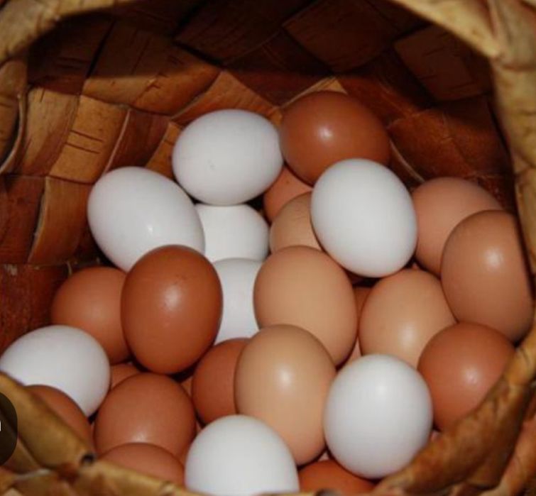 Яйцо куриное домашние