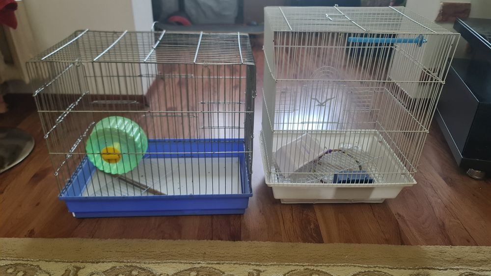 В наличии  клетки