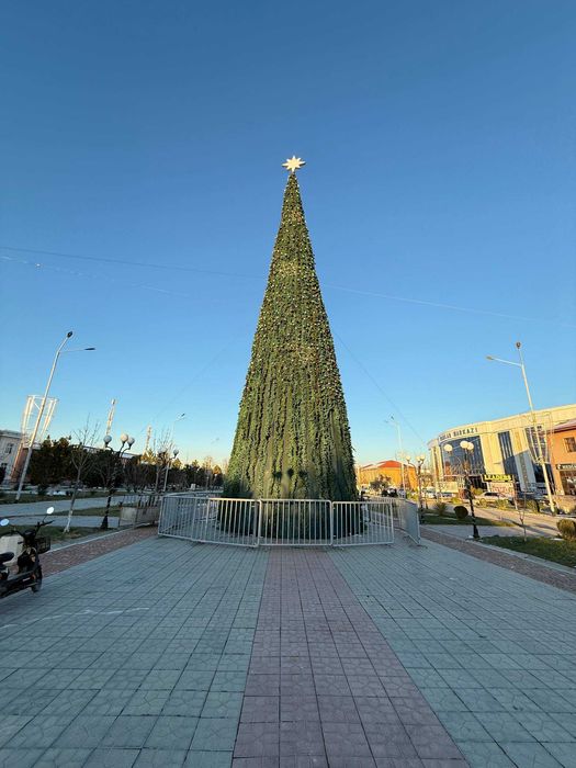 Установка новогодних ёлок || Yangi yil archasini o'rnatish