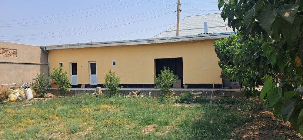 Ховли уй , намуна  , 8 суток аччик дона партизан ,буюк ипак