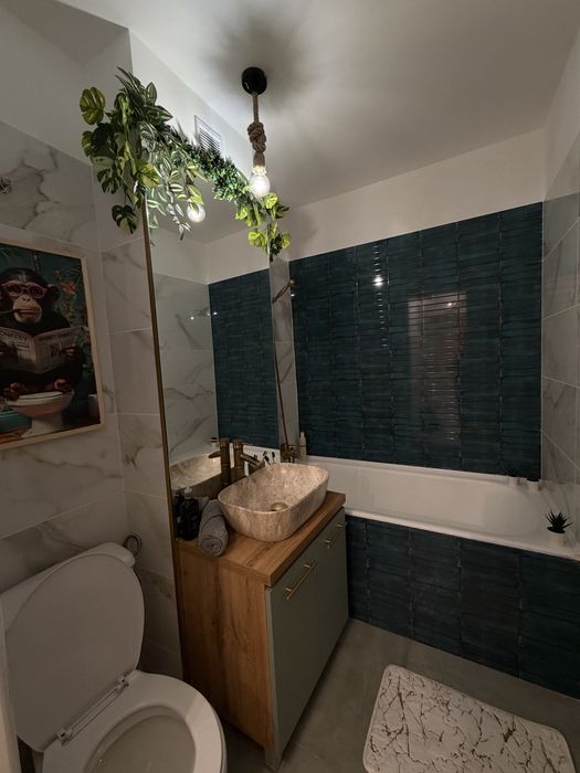 Vand Apartament 2 Camere Brancoveanu-Semenic-Luica