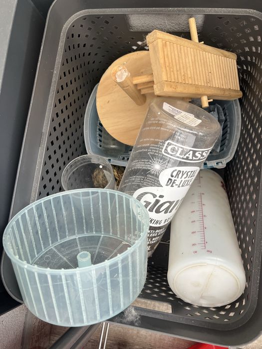 2 hamsteri + accesorii