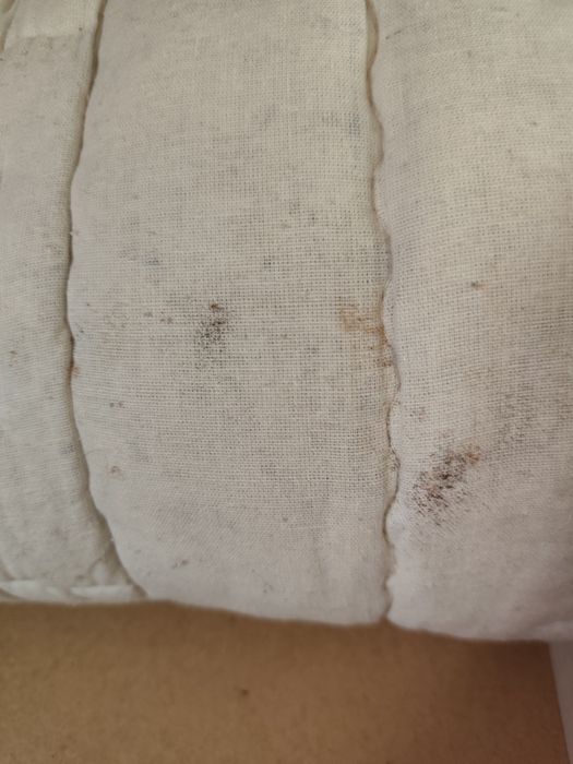 Само до 20.12.2025 - три юргана за 75 лв