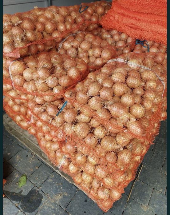 Vand ceapa galbena productie proprie 2025 cantitati mari