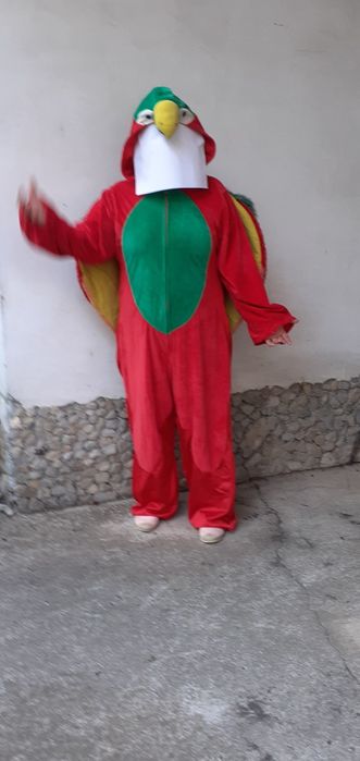 Карнавален костюм на папагал