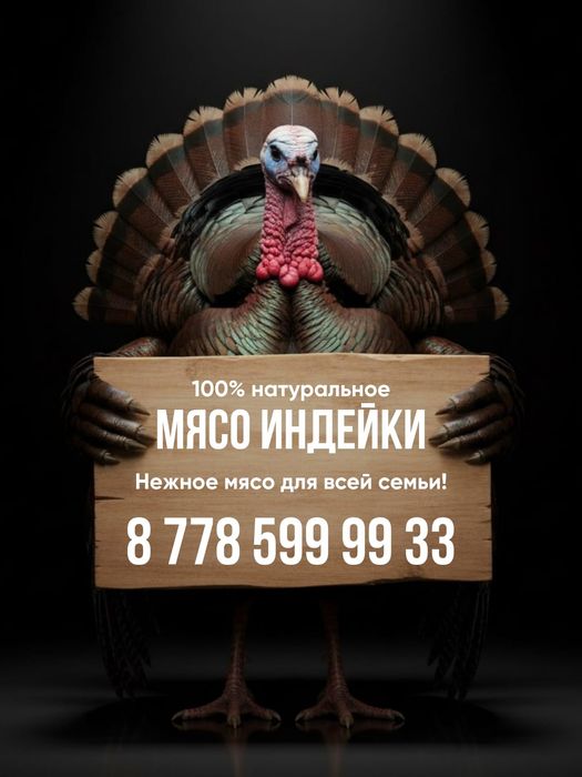 Домашнее мясо индейки, бройлеры