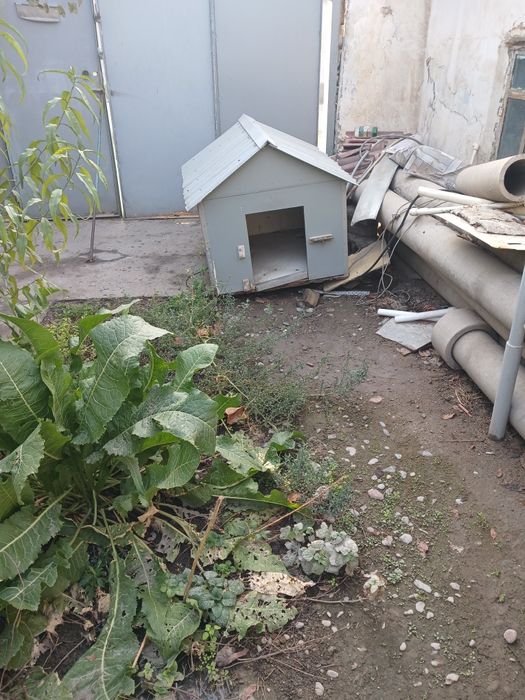 Продаю будку вольером НЕДОРОГО