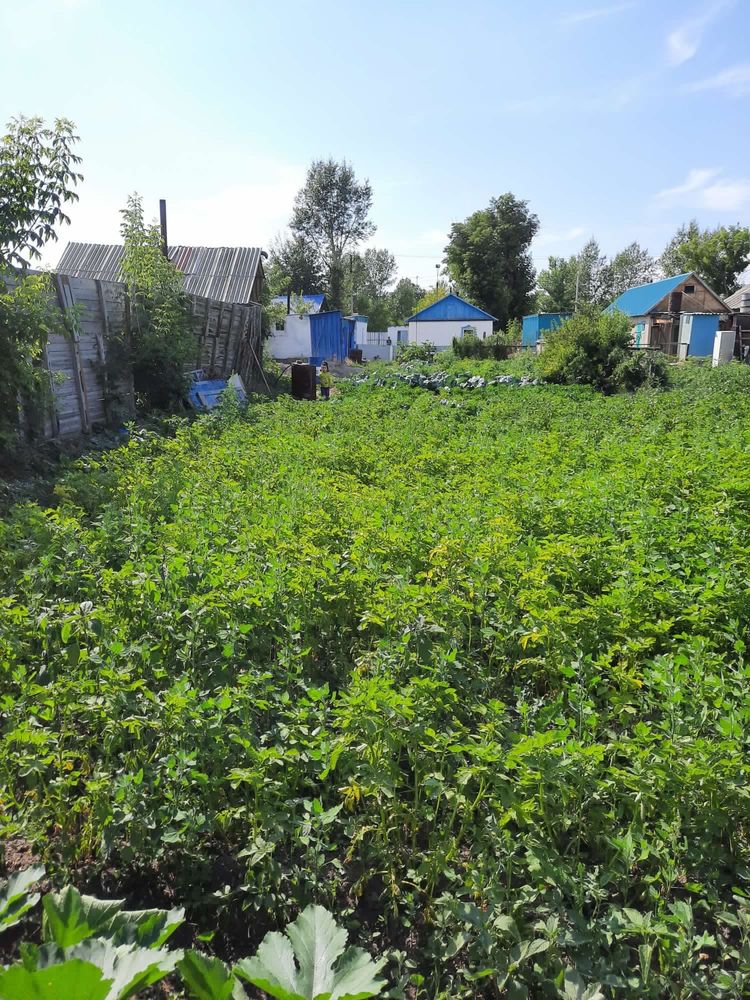 Срочно продается дом в с.Қалбатау .
