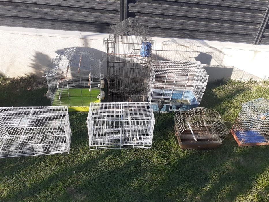 Cuști pentru papagali