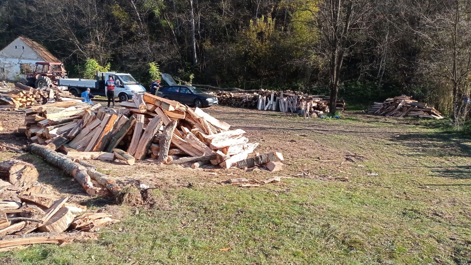 Lemn de foc esență tare !!