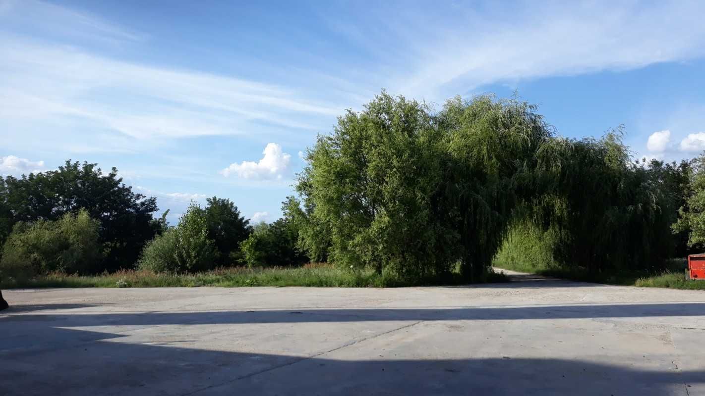 Hala cu birouri, vestiare, teren 8868mp, E60, Tileagd BH,