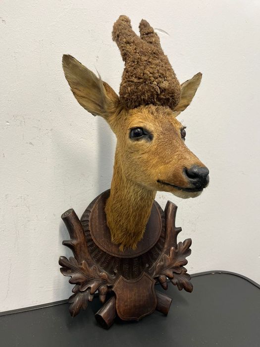 Трофей от сръндак