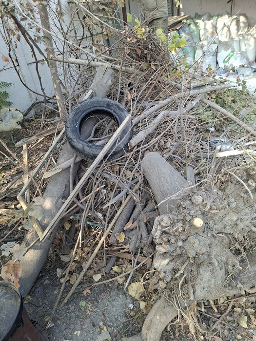 Утинлар доставка билан