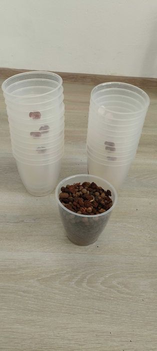 Ghivece orhidee (24 buc.)