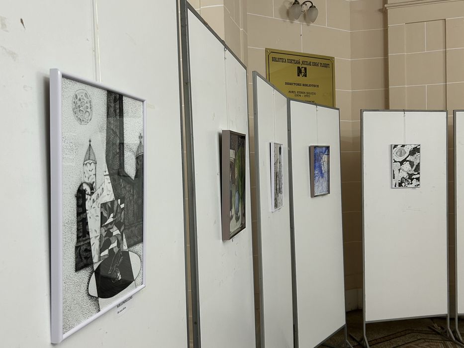 Ofer meditatii desen