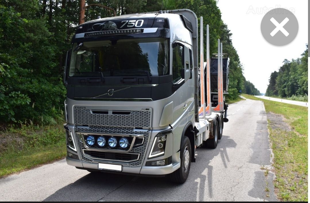 Volvo FH16 750 camion forestier