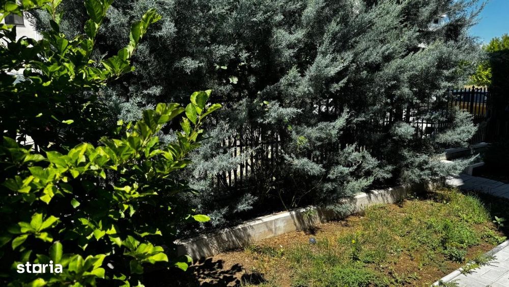 Apartament de vanzare Pipera