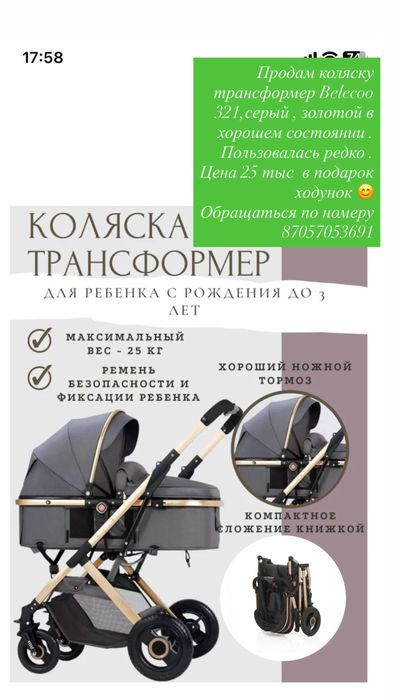 Коляска трансформер Belecoo