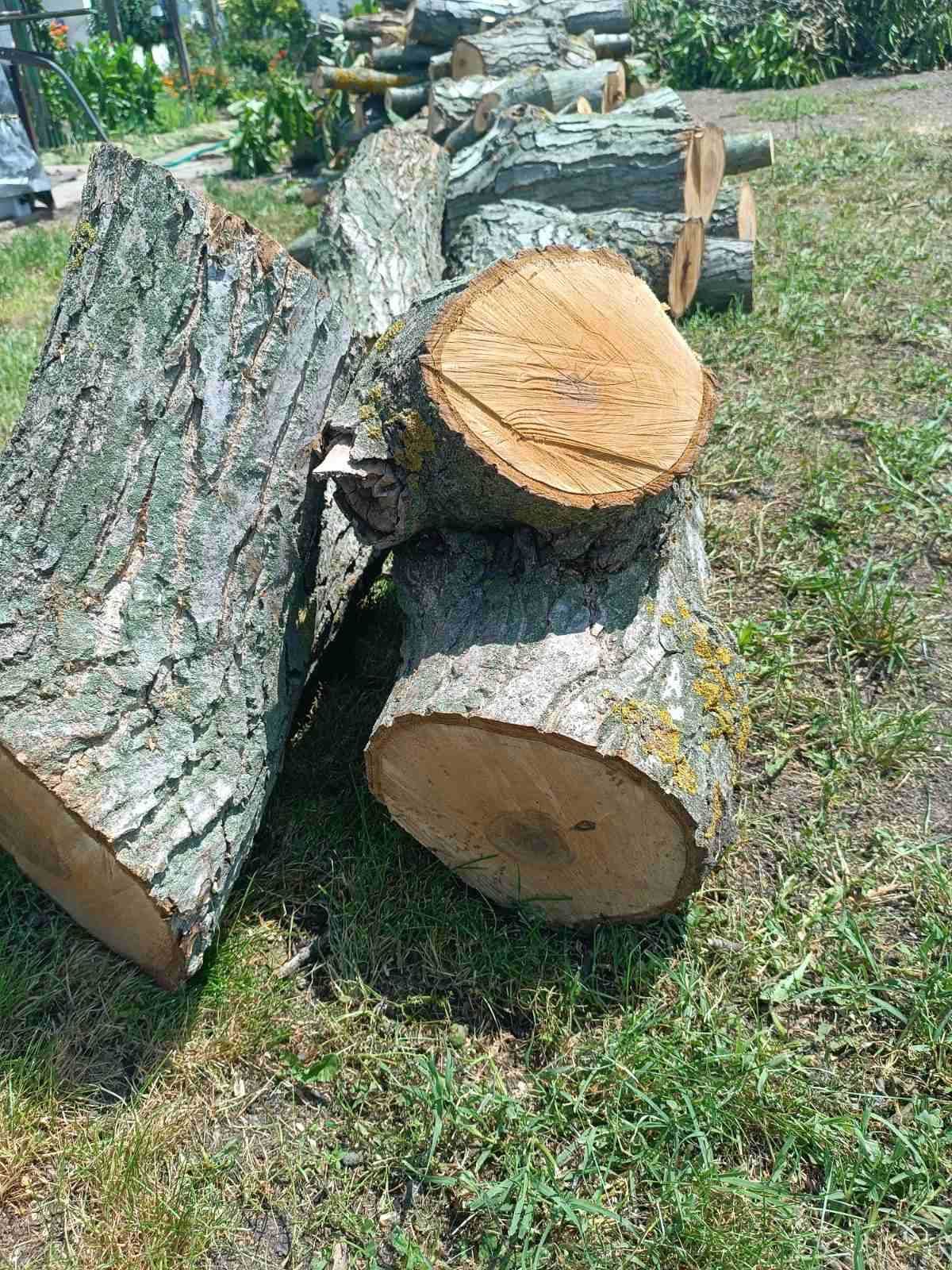 Орехови трупи за мебели и дърворезба