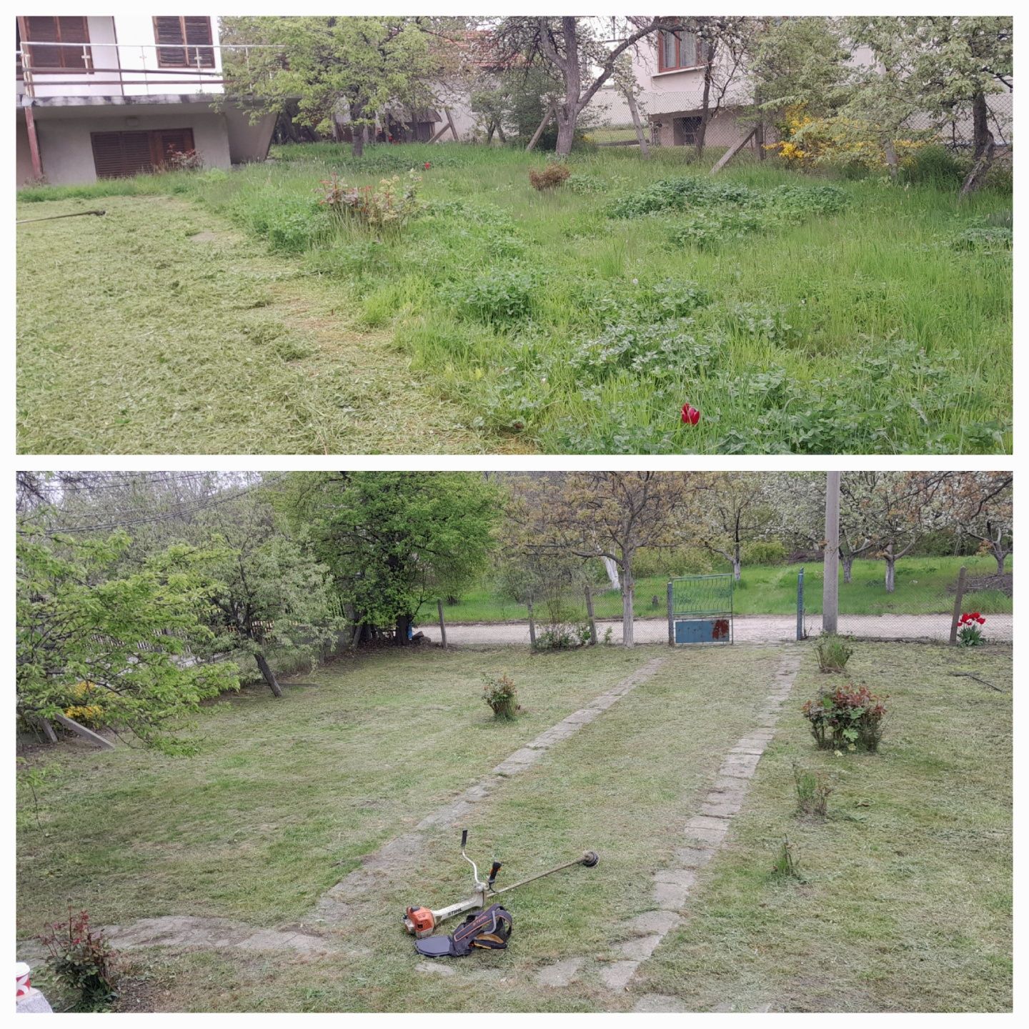 Косене на трева, Почистване на терени, Градински услуги