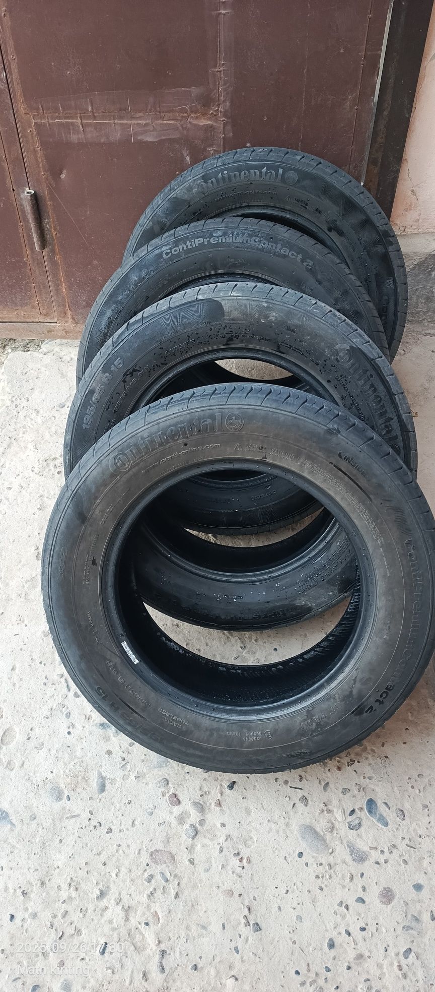 Kobilt balon radnoy