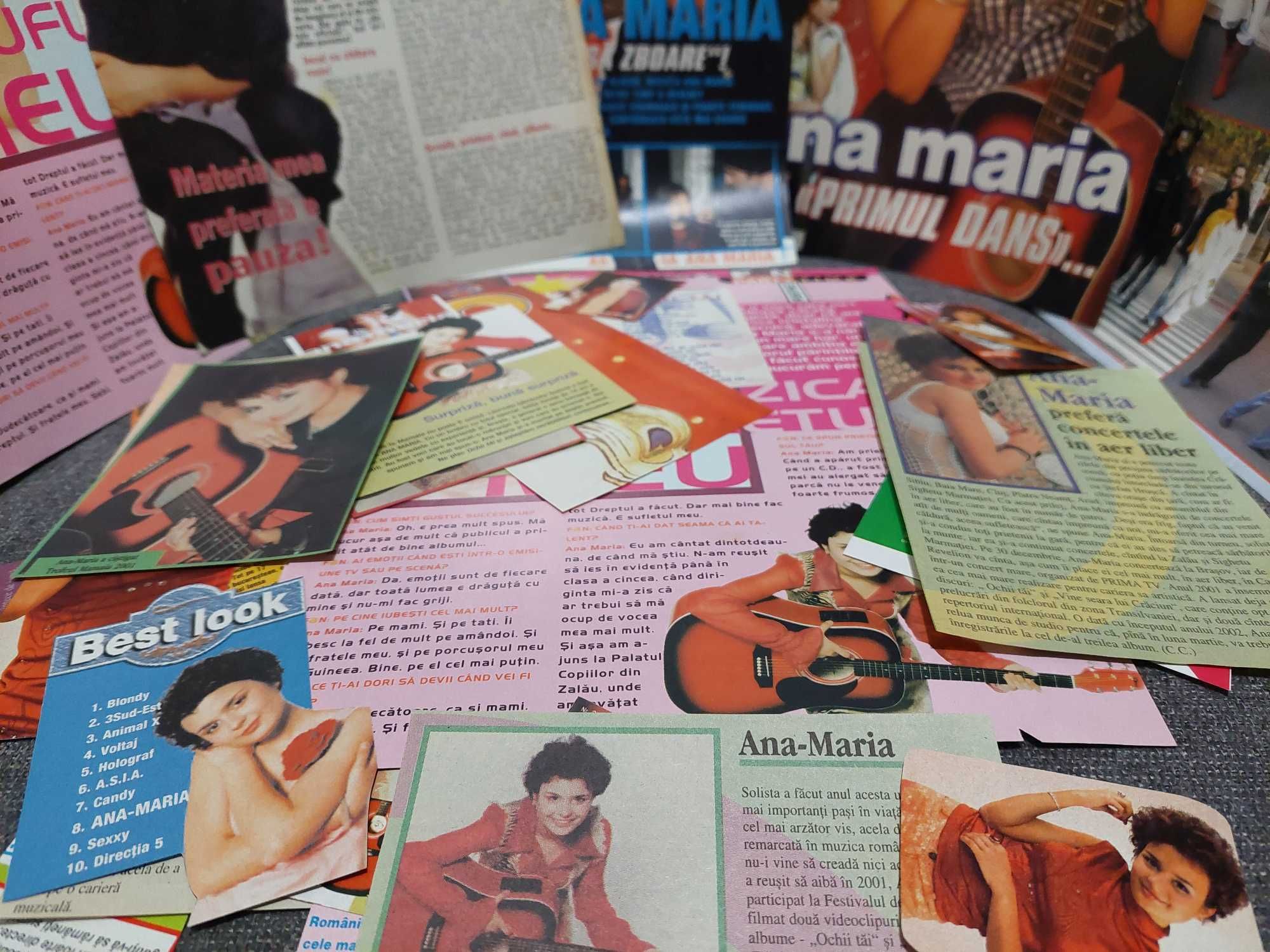 Colectie de articole cu Ana Maria