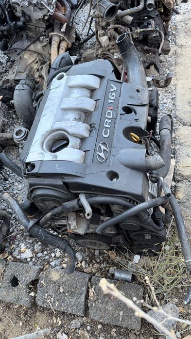 Маторы  из Европы