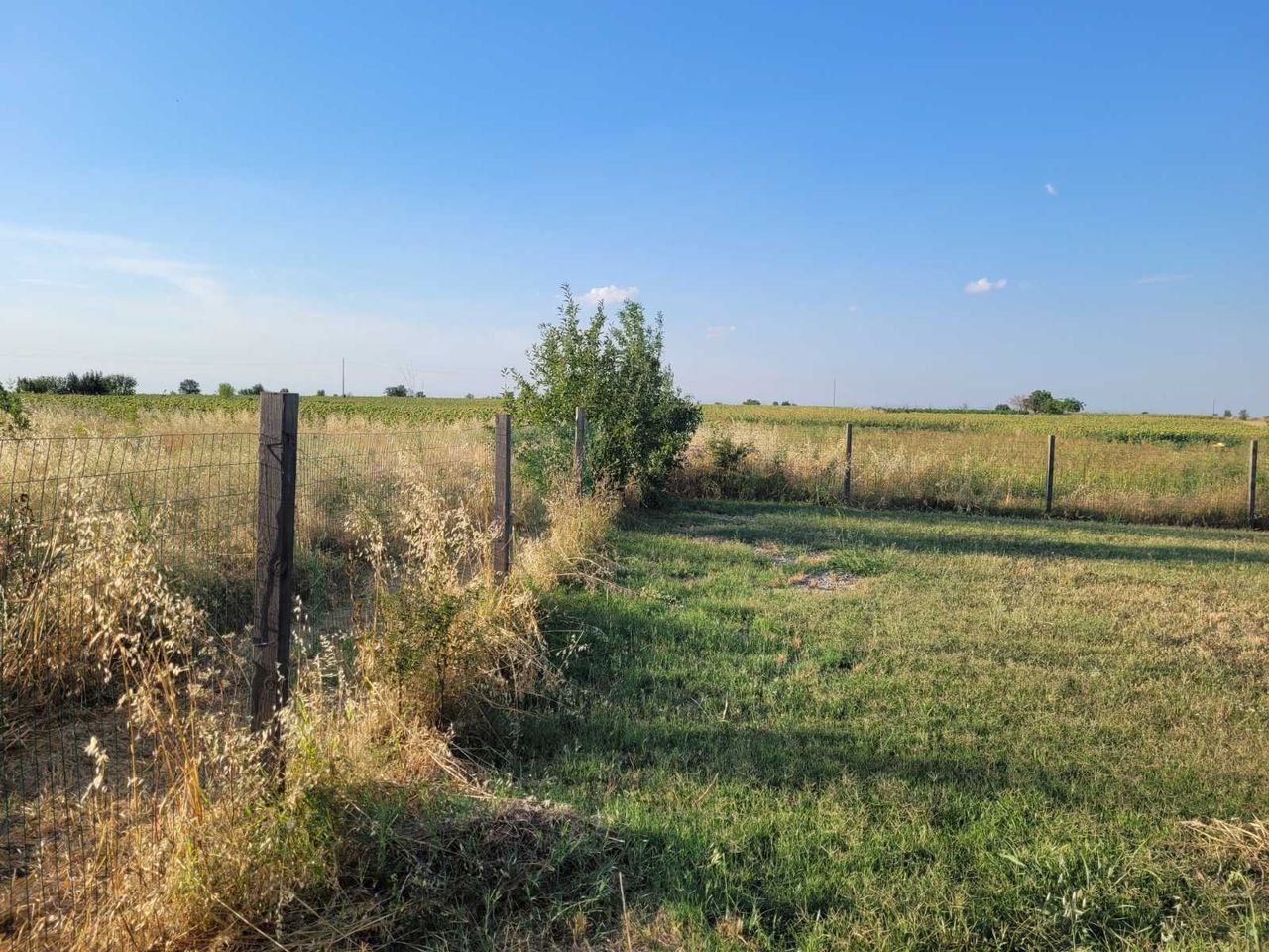 Продава се Парцел в с. Патриарх Евтимово, Област Пловдив - 1305 кв.м за 23 €/кв.м - Снимка #1