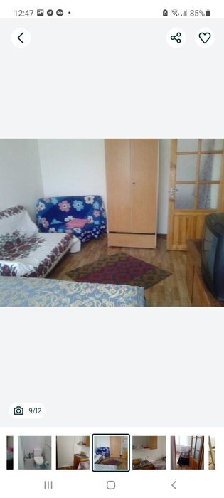 Сампи,Культуры инсит.Студентке .1/4/4