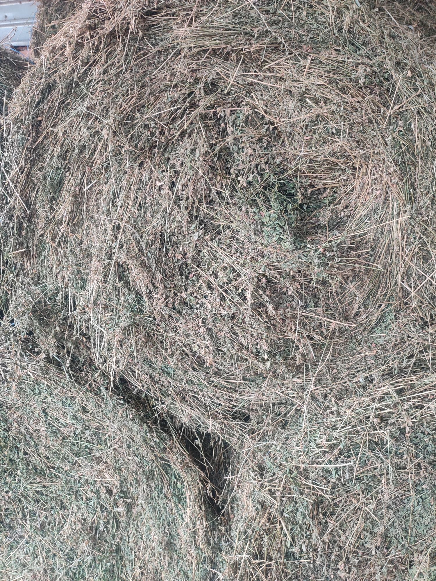 Ролонни бали люцерна
