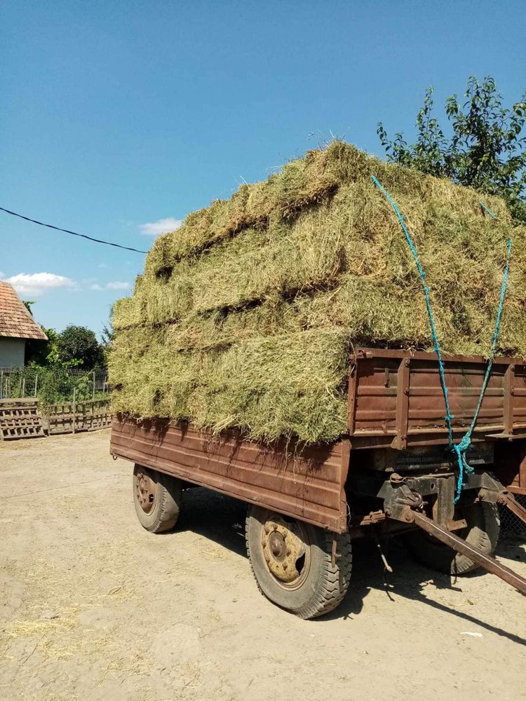 Baloți lucernă și fân.