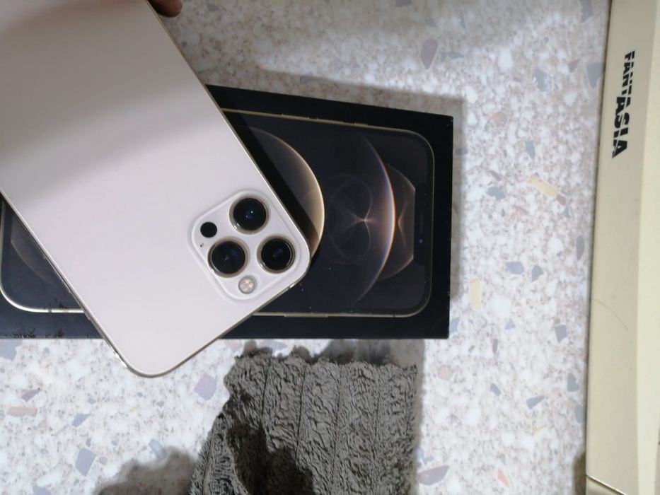 iphone 12 pro max