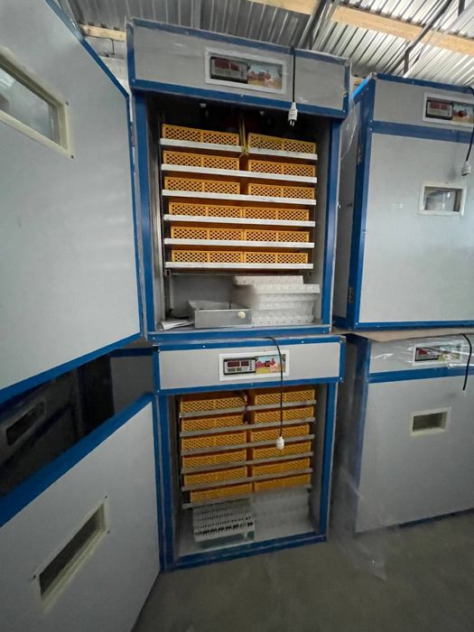 ИНКУБАТОРИ АВТОМАТ на 528шт и 1056 шт ЯИц+ВЫВАДНОЙ+Брудер Комплектда