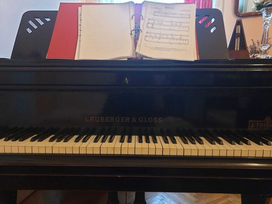 Vand pian vienez cu coada scurt