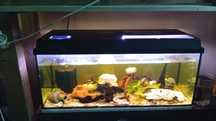 Acvariu 120 L cu capac