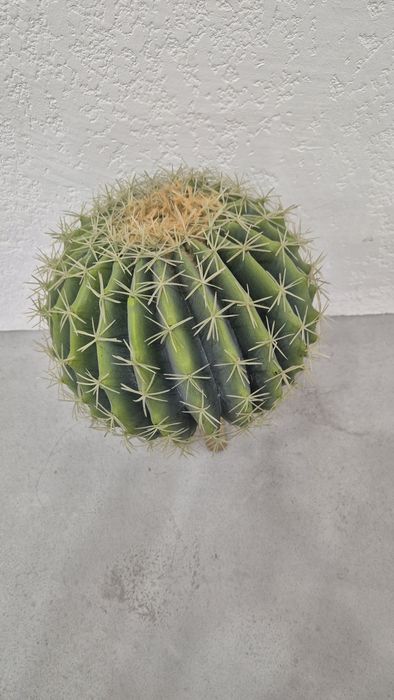 Искусственные цветы. Кактусы