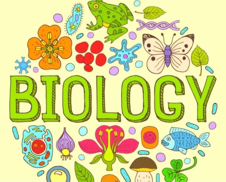 Ofer meditații biologie pentru BAC