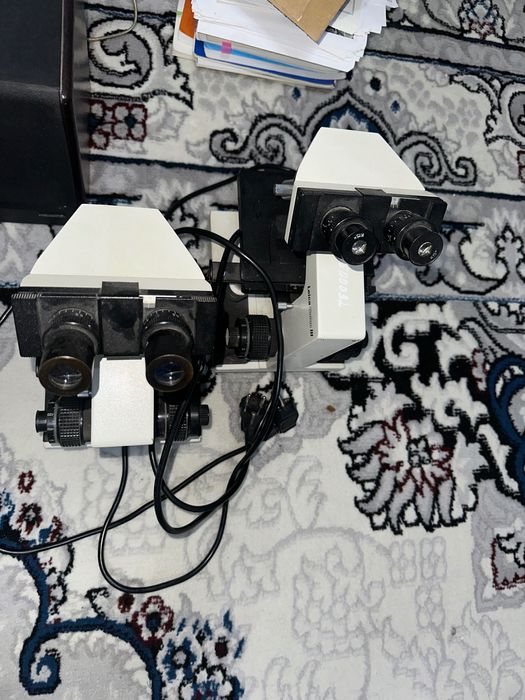 Mikraskob 2 Dona 2 tasiga 1 Milionga Kelib koʻrib olasila Srochno