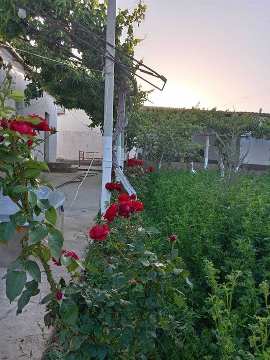 Zo‘r imkoniyat! tayyor 2 xonali uy va keng yer maydoni sotuvda.